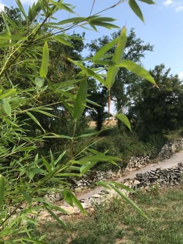 Ratatouille Bed and Breakfast Mayrinhac-Lentour Εξωτερικό φωτογραφία